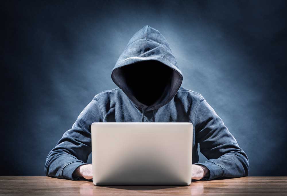 Cybersquatting in .maori.nz