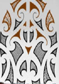 Māori ICT Organisations analysis and directory