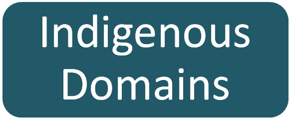 Indigenous Domains not effected by new .nz domains