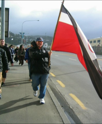 Māori activism with Domain Name System
