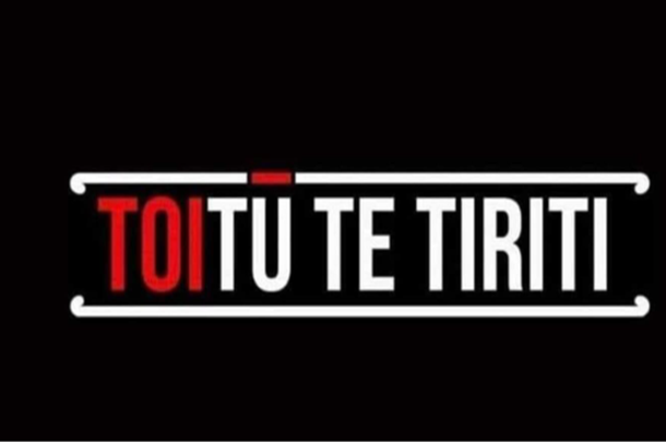 Cyber activism removes Toitū te Tiriti Lawyer form social media