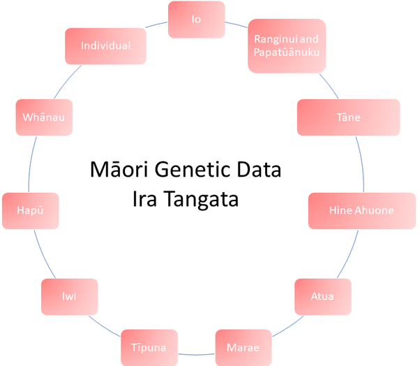 Māori Genetic Data Ira Tangata Framework