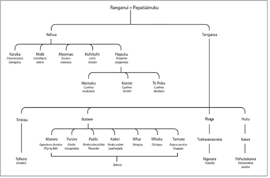 Tangaroa